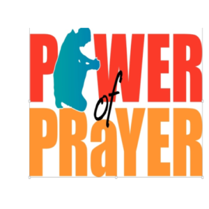 WEDNESDAY EVENING PRAYER GROUP @ 6:00PM  IN PERSON